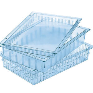 Transparent tray